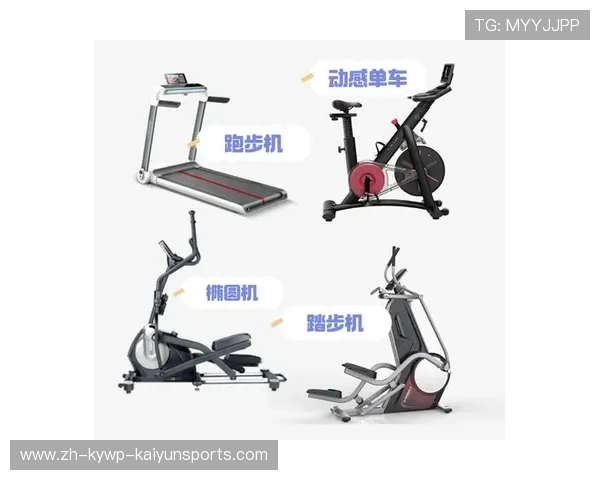 高效燃脂腰部训练器具有哪些健身房同款推荐